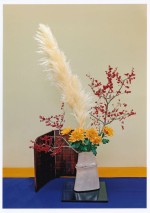 2015年11月第48回京都女流京華会いけ花展 京都文化博物館 パンパス、ウメモドキ、キク