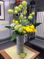 11月 フウセントウワタ、菊、葉蘭