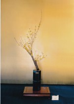 2009年3月 サンシュ