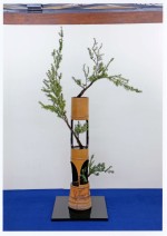 2015年5月第99回挿花大会 トガ