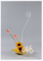 2015年7月 ヒマワリ、アンスリューム