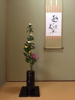 9月 菊