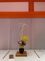 4月 キングプロティア・枝垂れ桑・オンシジウム
花器:長谷川白峰(日展作家磁器)