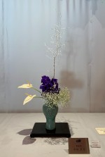 4月 枳殻(からたち)、バンダー、アンスリウム、かすみ草
